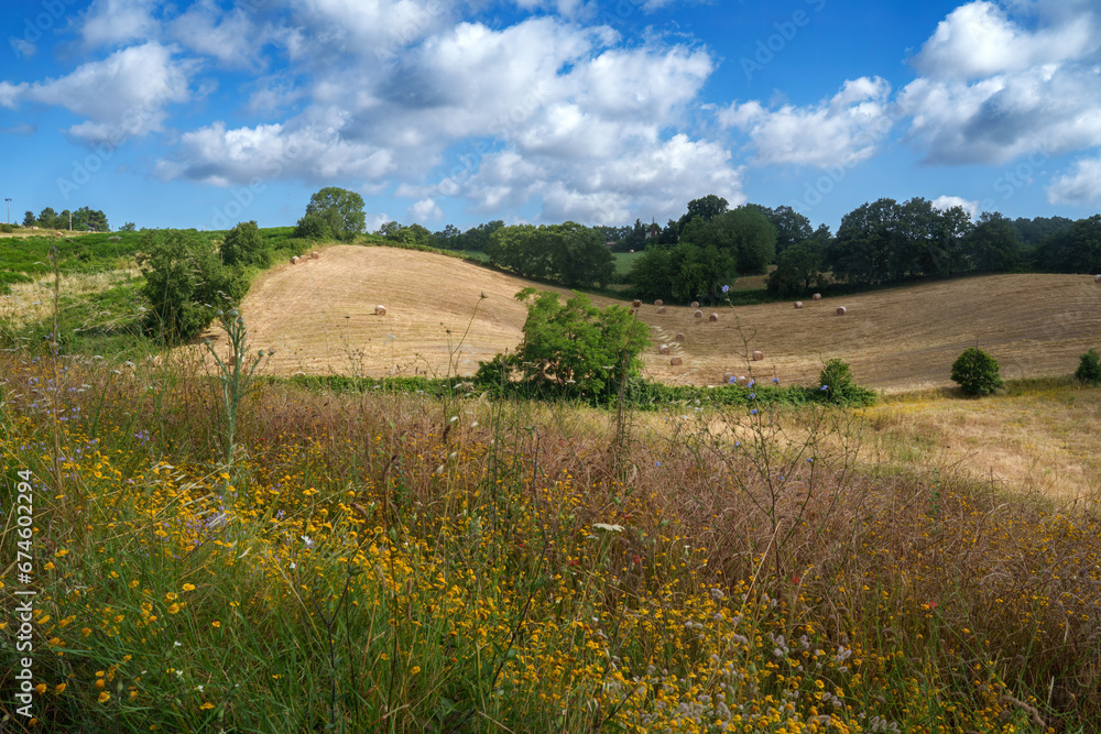 Rural landscape in Tuscany near Pitigliano