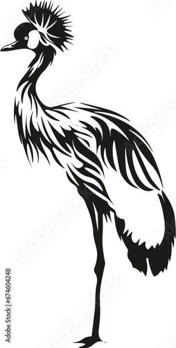 Cartoon Black and White Isolated Illustration Vector Of An Emu Bird Standing photo