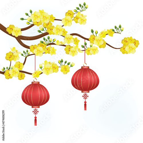 Yellow apricot flower with red lampion