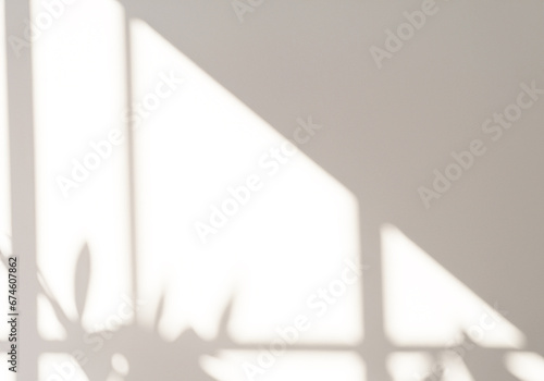 光が差し込む明るい室内と観葉植物の影