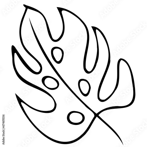 Hand drawn doodle tropical monstera leaf. Black sketch isolated on white background