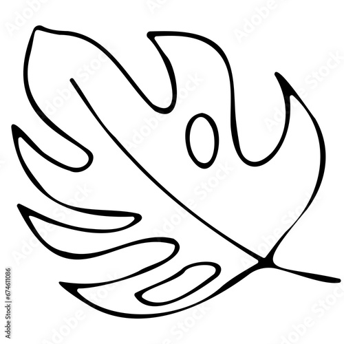 Hand drawn doodle tropical monstera leaf. Black sketch isolated on white background