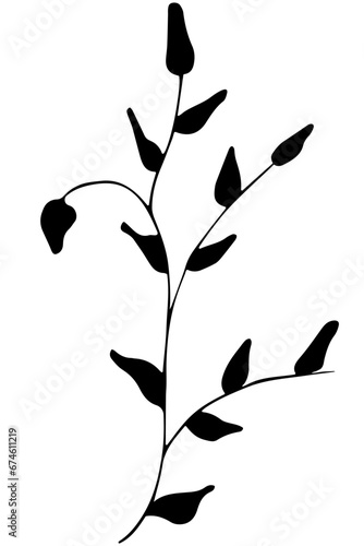 Hand drawn doodle tropical leaf. Black sketch isolated on white background