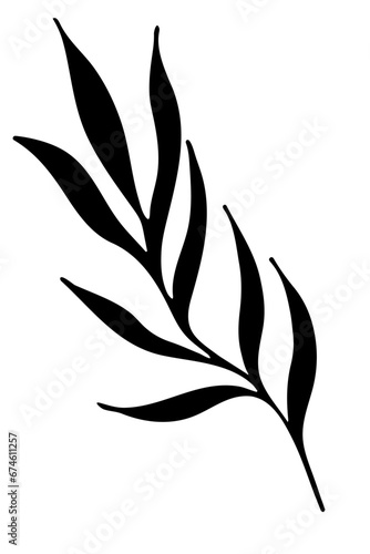 Hand drawn doodle tropical leaf. Black sketch isolated on white background