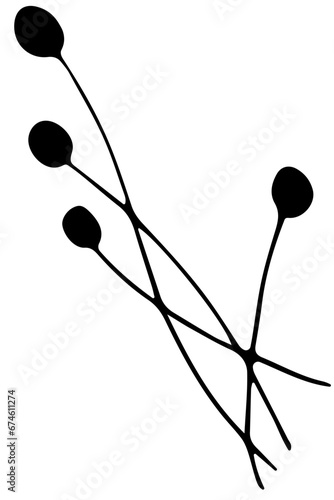 Hand drawn doodle tropical leaf. Black sketch isolated on white background