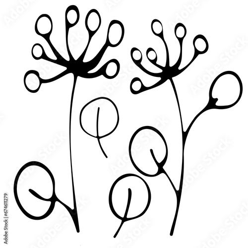 Hand drawn doodle tropical leaf. Black sketch isolated on white background