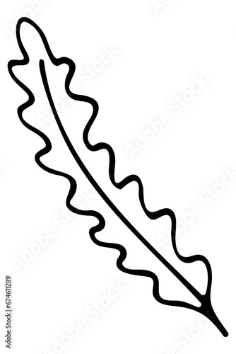 Hand drawn doodle tropical leaf. Black sketch isolated on white background