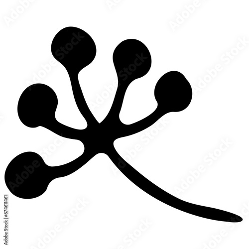 Hand drawn doodle tropical leaf. Black sketch isolated on white background