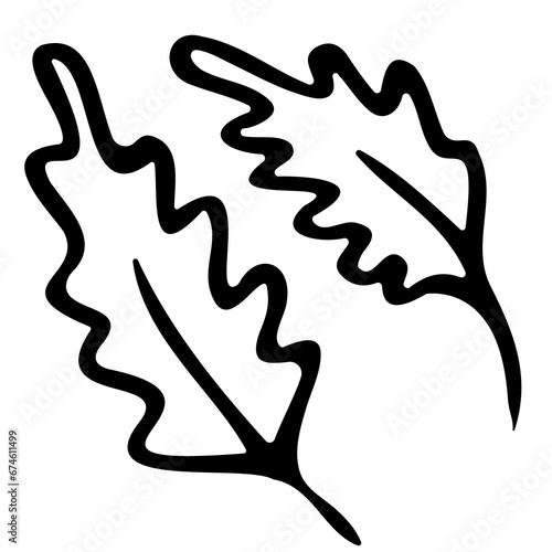 Hand drawn doodle tropical leaf. Black sketch isolated on white background
