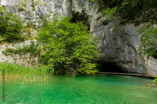 lake in the forest