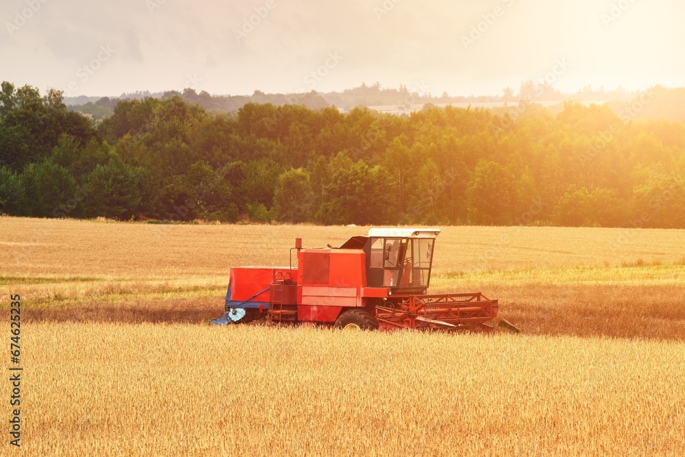Fototapeta premium Agricultural Industry in Action. Wheat Harvesting on the Farmland. Combine Harvester at Work in the Golden Field.
