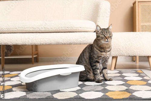 Cute cat with litter box in living room