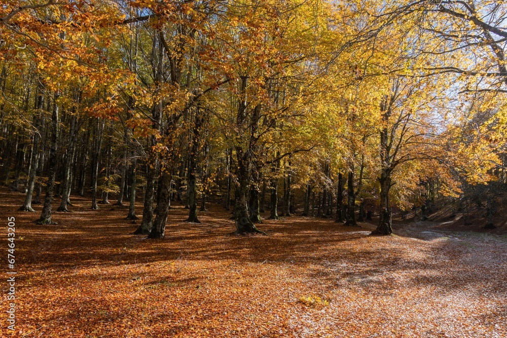 Naklejka premium Monte Livata - Campo dell'Osso - Suibiaco - Roma - Lazio. Parco Regionale dei Monti Simbruini