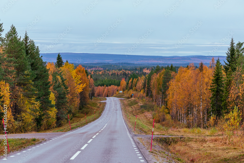 Fototapeta premium Straße in Schweden – Herbst – Roadtrip 