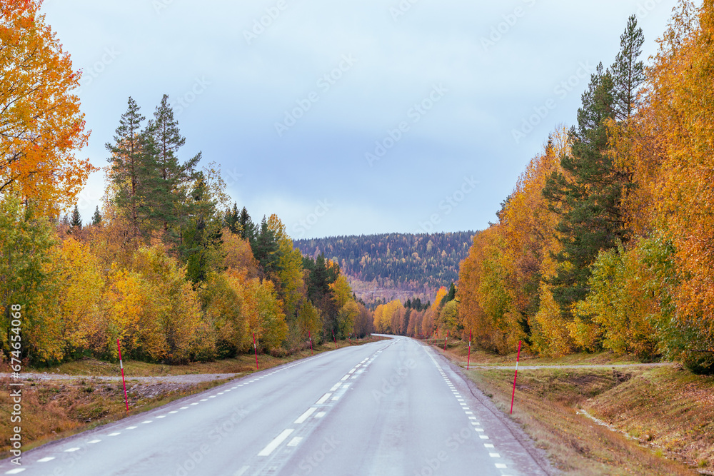 Fototapeta premium Straße in Schweden – Herbst – Roadtrip 
