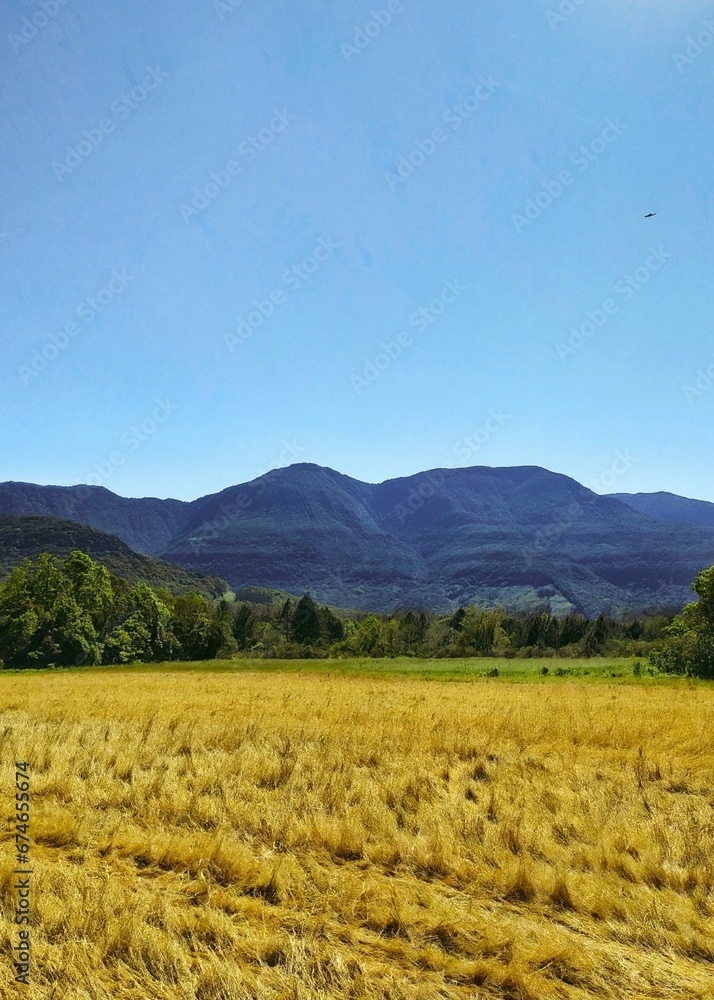 field and montains