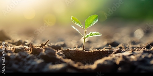 Eco conscious planting. Initiating growth and agriculture in spring. Sowing seeds of nature. Friendly perspective. Nurturing green life. Cultivating sustainable spring environment