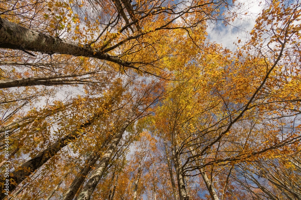 Monte Livata - Campo dell'Osso - Suibiaco - Roma - Lazio. Parco Regionale dei Monti Simbruini Monte Livata - Campo dell'Osso - Suibiaco - Roma - Lazio. Parco Regionale dei Monti Simbruini
