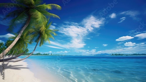 tree blue travel sea landscape illustration island sky, ocean paradise, summer vacation tree blue travel sea landscape © sevector
