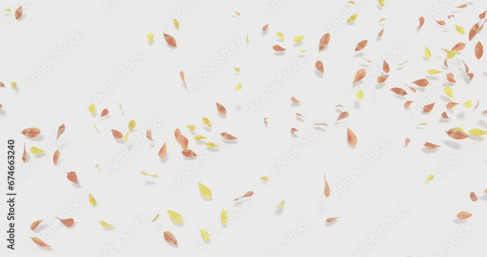 Autumn leaves blown away by wind and roll on the ground. White background and cast shadows. 4K 3D rendering animation. Autumn leaves blown away by wind and roll on the ground. White background and cast shadows. 4K 3D rendering animation.
