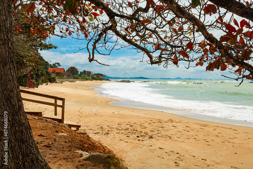 beach with trees Penha Saudade Beach photo