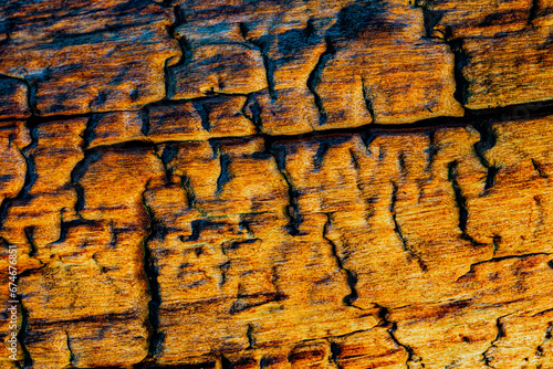 Texture surprenante du bois flotté 