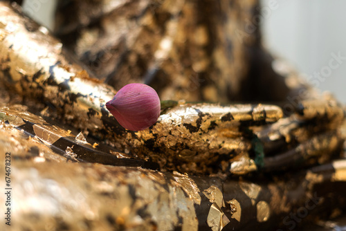 The lotus flower placed on the Buddha's hand represents faith and peace.