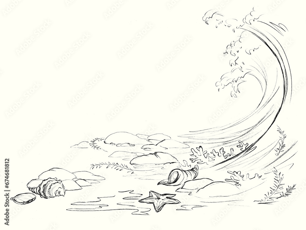 Pencil drawing. The waves threw shells and stars ashore