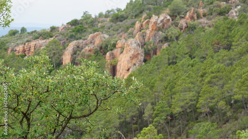 The Esterel mountains in and around the Gorges du Blavet and Bagnols-en-Forêt in the region Provence-Alpes-Côte d’Azur in France, in the month of June photo