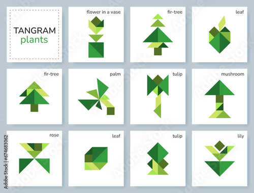 Tangram puzzle game for kids. Geometric colorful collection with various isolated plants, flowers, leaves, trees. isolated Tangram icons on white backdrop. Vector illustration