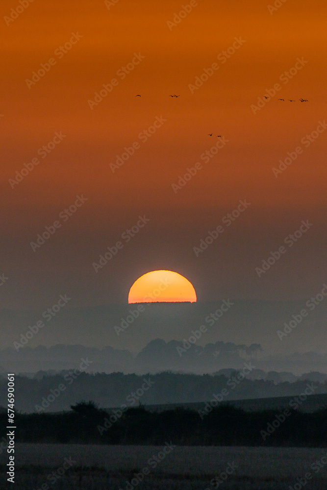 sunrise over fields