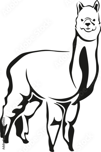 Cartoon Black and White Isolated Illustration Vector Of A Llama Standing and Smiling