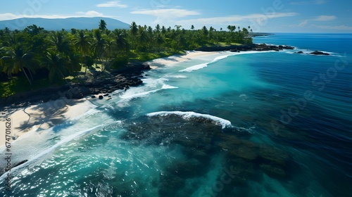 Aerial view of a beautiful beach in Maui, Hawaii.