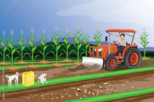 agriculturist use tractor plow in corn field, vector design