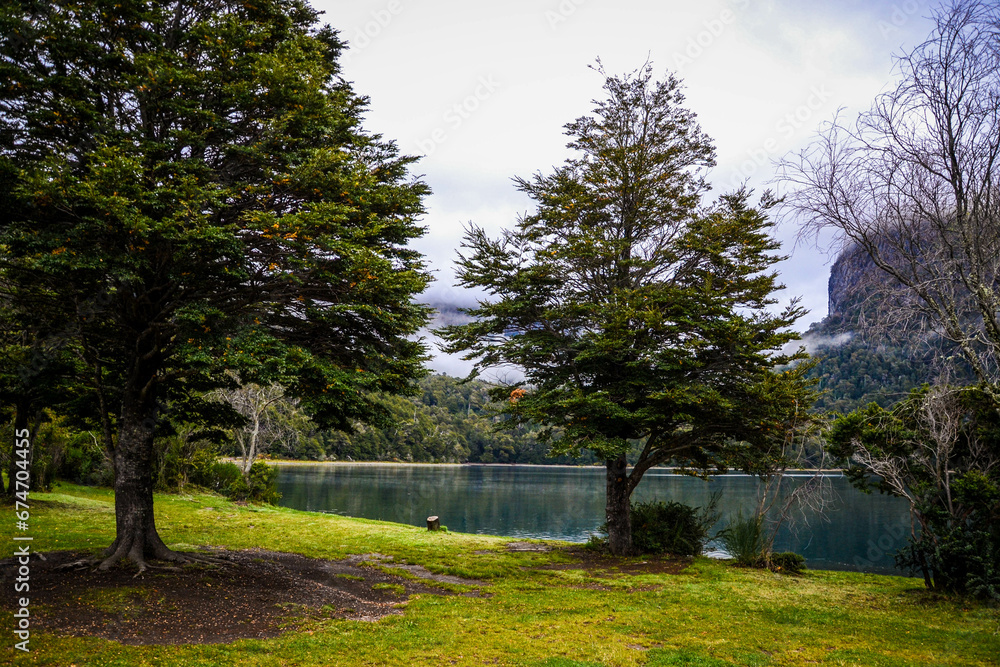 Obraz premium lake in the park