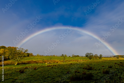 rainbow over the field