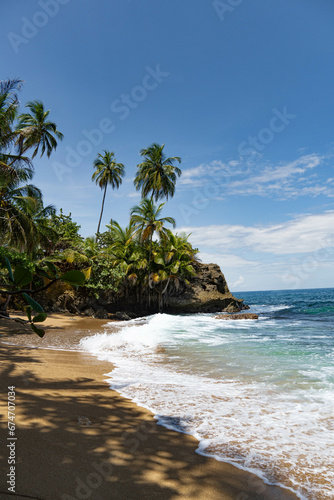 Beach with palms