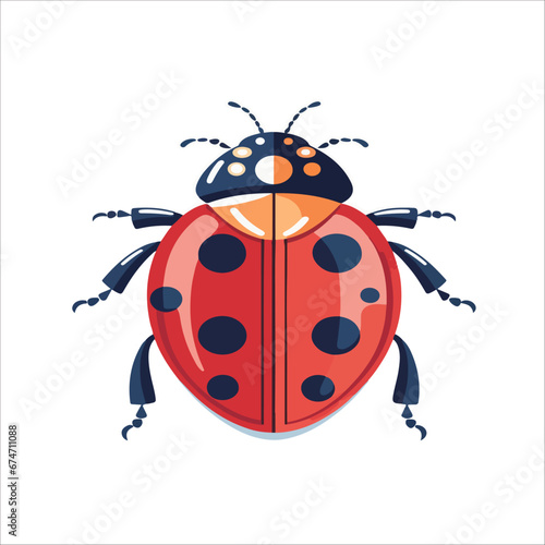 LADY BUG INSECT FLAT CHARACTER CARTOON © tam