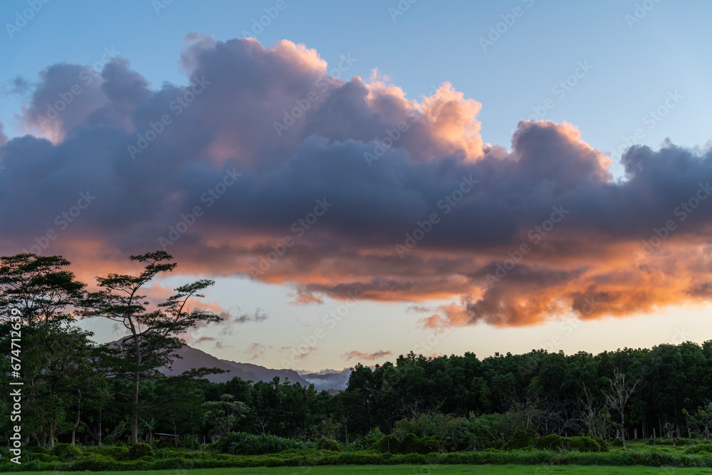 Fototapeta premium Evening landscape with colorful clouds, Albizia tree Falcataria Moluccana, Batai wood in silhouette in front of a lower forest and mountains in Kauai, Hawaii, United States. 