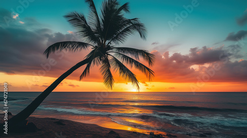 Palm tree during the sunset  wallpaper