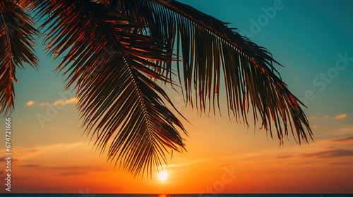 Palm tree during the sunset, wallpaper