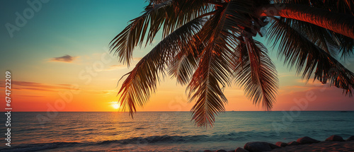 Palm tree during the sunset, wallpaper