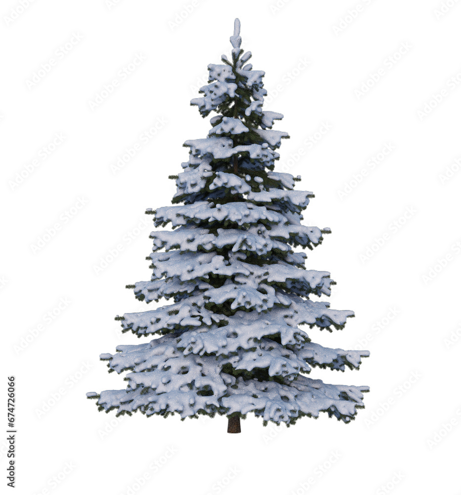 Fir tree for christmas day, transparent image