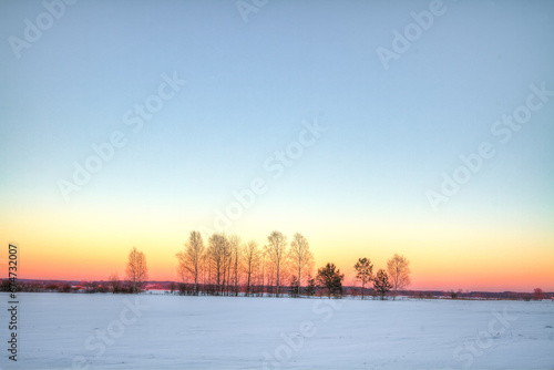 Landscape winter snowy fields in Poland, Europe on sunny day in winter, blue sky