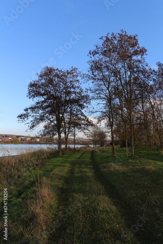 A grassy field with trees and water in the background