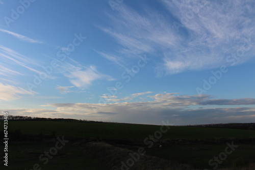 A field with a blue sky