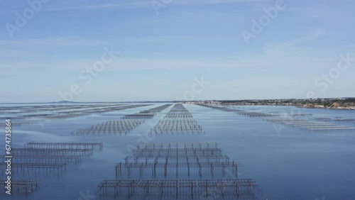 Oyster parc in bouzigues south of france , occitanie