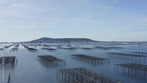 Flying 4K above the Oysters parc in south of france, occitanie
