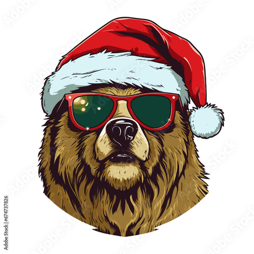 bear with santa claus hat