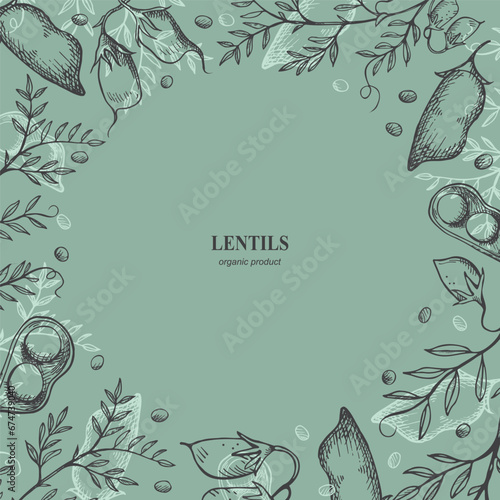 Background with Chickpeas plant , pods and peas hand drawn border vector illustration. Design backdrop legumes chickpea with leaf, fruit for logo, template, print, paper, label. Organic food, harvest